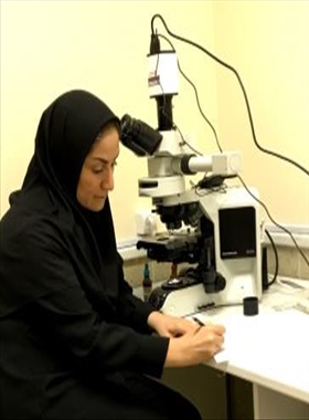 پژوهشگر برتر دانشکده کشاورزی و برگزیده استانی خانم دکتر لطف الهی